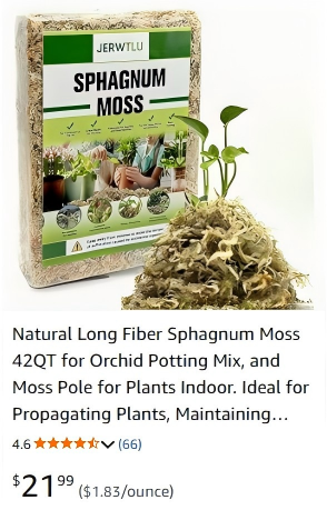 green sphagnum moss for sale green sphagnum moss for sale