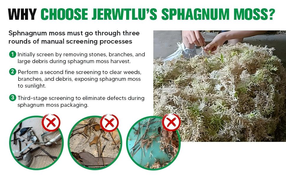 sphagnum-moss-drying-and-humidity-checking-2.jpg sphagnum-moss-drying-and-humidity-checking-2.jpg