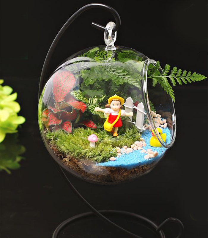 live sphagnum moss for sale live sphagnum moss for sale